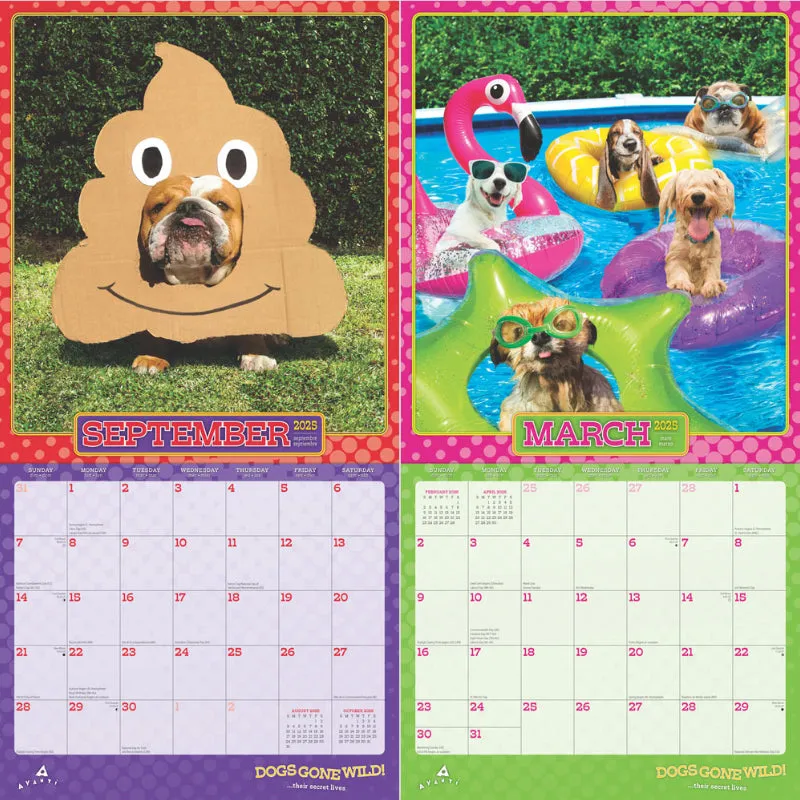 2025 Corgi Monthly Square Wall Calendar