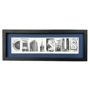 Buffalo Canisius College Framed Art