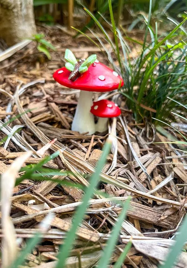 Dragonfly | RED MUSHROOM