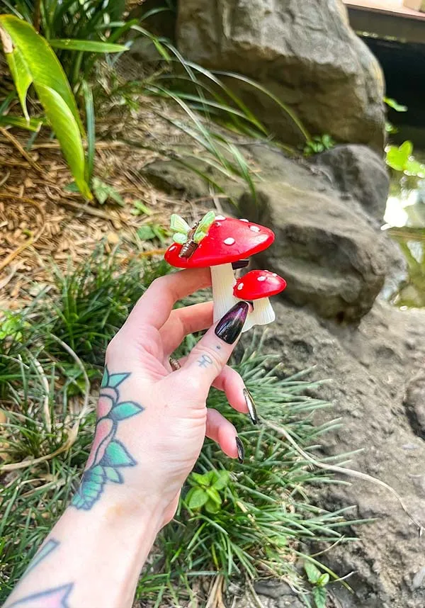 Dragonfly | RED MUSHROOM