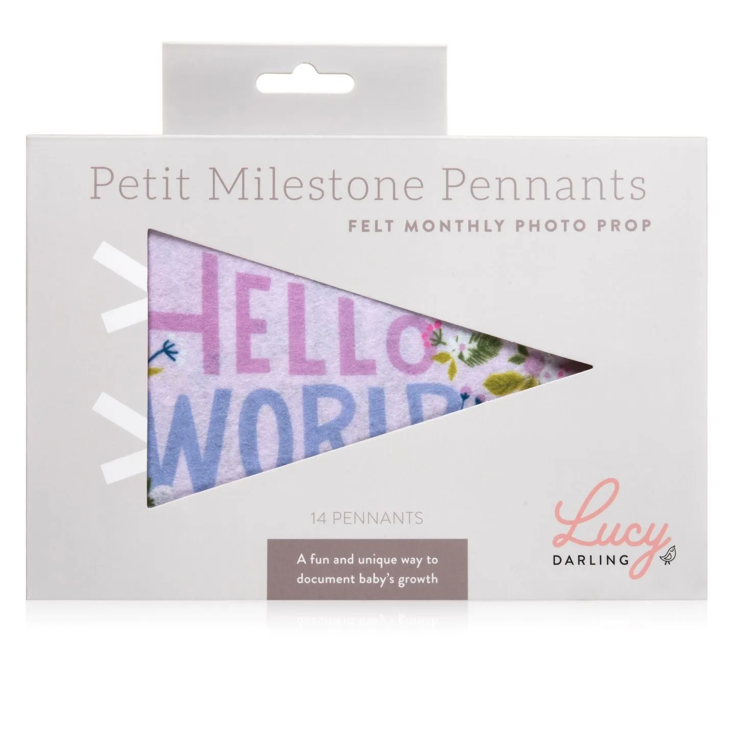 Lucy Darling Petit Milestone Pennant: Little Artist