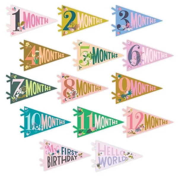 Lucy Darling Petit Milestone Pennant: Little Artist