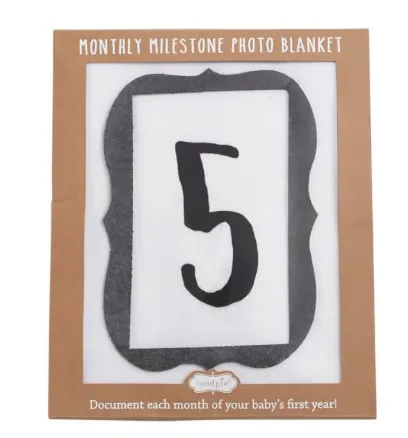 MONTHLY MILESTONE BLANKET SET