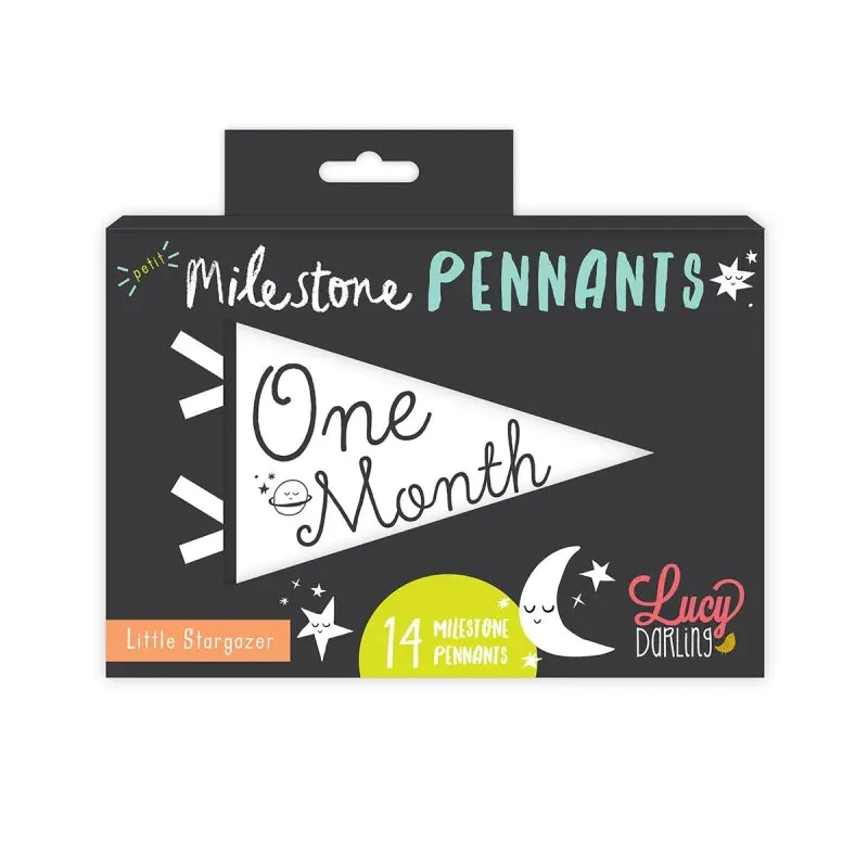 Petit Milestone Pennants - Little Stargazer