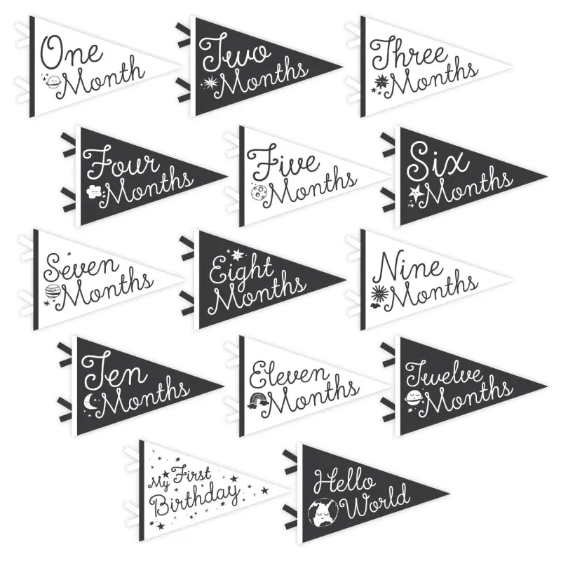 Petit Milestone Pennants - Little Stargazer