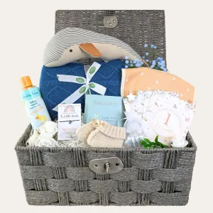 Wilbur's Wild Adventures Baby Boy Gifts Basket